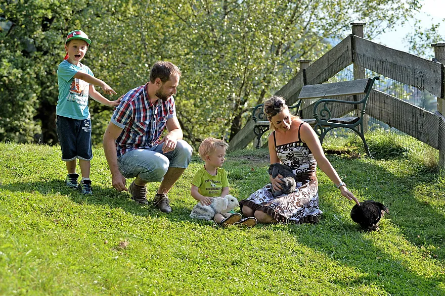 Bild 22
